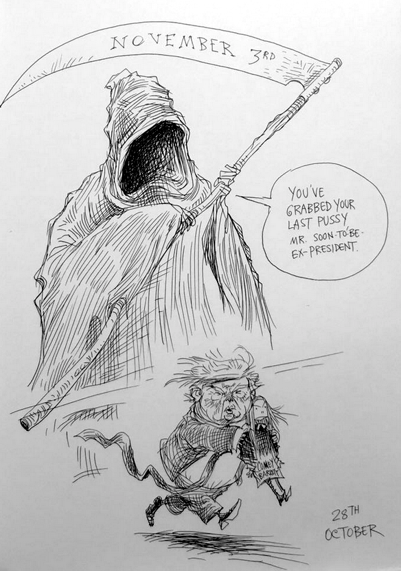 Chris Riddell Cartoon - Goodbye Trump - here's to sanity!! - Opher's World